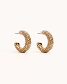 Encrusted Flawless Crystal Gold Hoop Earrings